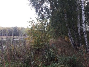 20220926_152451.thumb.jpg.50ebdbc0319dd859cd400f65bcd7ee6a.jpg