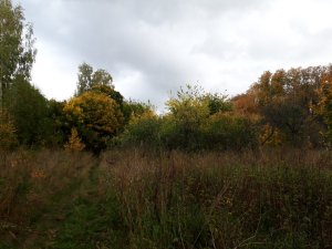 20220926_153952.thumb.jpg.c7249dddd646bd3fef75aae879afc9a8.jpg