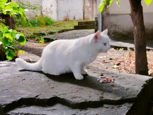 IMG20220913100101.thumb.jpg.e8f811c43ba0795152773f87a913cee7.jpg