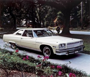 Buick-Electra-225-Hardtop-Coupe-1976-1.thumb.jpg.7e3b874da58cf01168c2b2760f6e5d5f.jpg