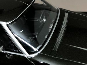 IMG_5541.JPG