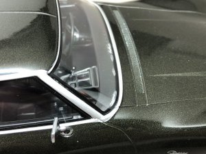 IMG_5542.JPG