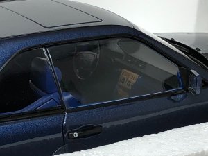 IMG_5547.JPG