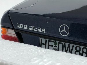 IMG_5548.JPG