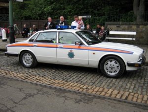 1458880393_Jaguar2.thumb.jpg.105a9850cc681a6ca7baa3b2e18afddc.jpg