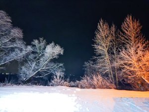 IMG_20221126_200155.thumb.jpg.d01801d2854993774ab0280c96b5d765.jpg