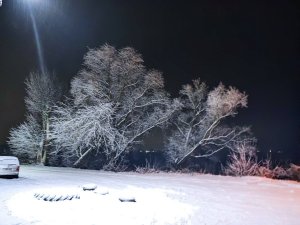 IMG_20221126_200210.thumb.jpg.dd8c6e456e7b8a53c12187e6ff281c44.jpg