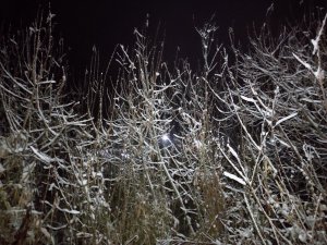IMG_20221126_213430.thumb.jpg.ed4f5c1ac47e5773fb1c1685cfa0e68e.jpg