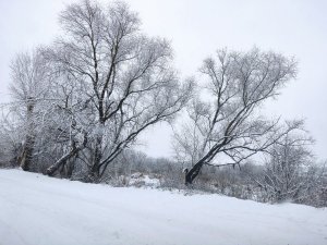 IMG_20221127_105648.thumb.jpg.f6aac12c2e5c958da9ed9c6f2fc6e204.jpg