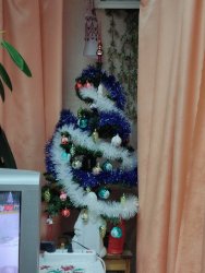 IMG_20221224_182018.thumb.jpg.8bea20545d8bd9f99e0fd64477383d2d.jpg