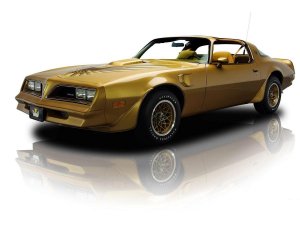 589954296_1978PontiacFirebirdTransAmY-88GoldSpecialEdition001.thumb.jpg.2d949f32f3dd799a42da45895f868fff.jpg