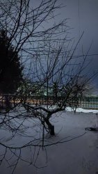 IMG_20230128_202150.thumb.jpg.abd8f781b320df3d70a57e8a291046c2.jpg