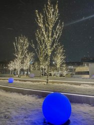 IMG_5176.jpg1.thumb.jpg.f8d239c399cf356ce1366305a0fe0a0b.jpg