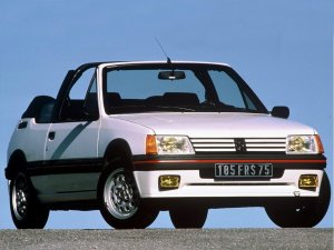 1966094899_1986Peugeot205CTI(23).thumb.jpg.1b71652c935263083c4990f4160b97f0.jpg