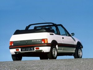 843423088_1986Peugeot205CTI(24).thumb.jpg.a5b1c47d7cb3b558b70715c75df59e12.jpg