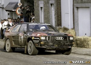 930270456_ode_boschaardennes86.thumb.jpg.a4c75f73b357786bb258b8954b759c11.jpg