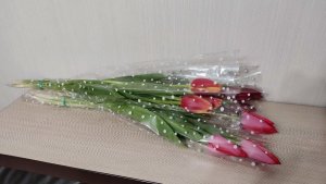 IMG_20230307_203228.thumb.jpg.7a86d80282289fff63e10c62e7d93b68.jpg