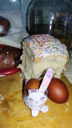 IMG_20230416_102612.thumb.jpg.2947f03503f669b2a299f1029ebb8e3c.jpg