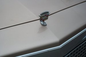 1480502846_72011067.thumb.jpg.ff1ca58448bc28e3b71f25a3a6afd873.jpg