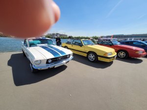 20230513_123920.jpg