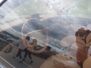 20230514_114439.thumb.jpg.dfc5c91a48c5c2d3ccd216afb841460f.jpg