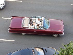 20230622_113833.thumb.jpg.433a1c097a73d419c745dfc6208f5d5a.jpg