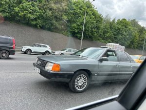IMG_7580.jpg1.thumb.jpg.8a725bf6c4f3c8d96fa3d8c228771e1e.jpg
