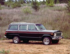 1063575232_Jeep-Wagoneer-1978-.thumb.jpg.614f59645e7ba2094bad75244921effb.jpg