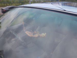 20230712_151100.thumb.jpg.8218f06660a9078a14c80035dcb2f41d.jpg