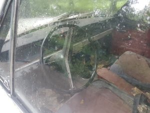 20230818_150950.thumb.jpg.4da2f499ce87850cc7339013e212cbf7.jpg