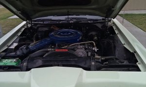 429-V8.thumb.jpg.5aeeb8fd9343927695c181c0d9f434ae.jpg