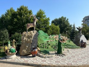 IMG_8347.thumb.jpg.15376a1e731a505baebc483984ebaa87.jpg
