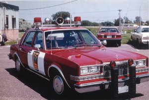 f11d32b4f12815a99d67f649efc6b380.thumb.jpg.3e3b00fa5d65866149504cc6244d2e6f.jpg