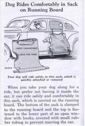 dog bag.jpg