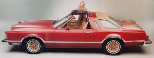 1486684761_78FordThunderbird.thumb.jpg.adbd131f9a926eb5a21722cce06047e2.jpg