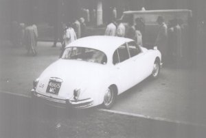 1832584706_Jaguar2.thumb.jpg.2bf976a70fcae35a2ac5938575745773.jpg