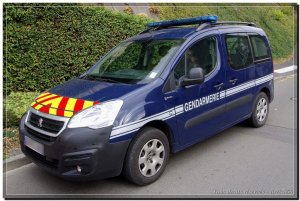 2104705318_2018PeugeotPartnerGendarmerie(26).thumb.jpg.da18eb46e1f15e7c6df7c9fdfdebe785.jpg
