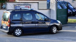 260324177_2018PeugeotPartnerGendarmerie(27).thumb.jpg.f596be12408831c941fa5b8edd831f5e.jpg