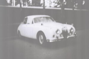 535101777_Jaguar1.thumb.jpg.36d12016f614ba636cd4b0f9475deda1.jpg