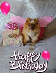 HB.jpg