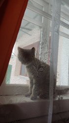IMG_20231209_114544.thumb.jpg.6a33232d49ee986b584b340ecbefd25f.jpg