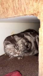 IMG_20231215_165720.thumb.jpg.9ccda316f74b9cdcd3de837baa4ecd5c.jpg