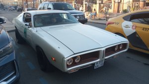 IMG_20250420_182801.jpg