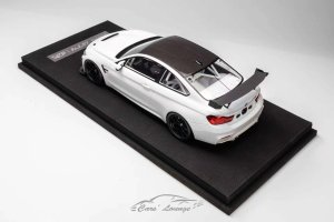 BMWM4GT4Racing_02.thumb.jpg.cb2095ba3e13c455ed3c7505b765b2a6.jpg