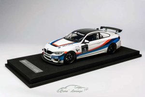 BMWM4GT4Racing_1.thumb.jpg.c793a4022972ae79041eedca6a1228f2.jpg