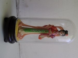 DSCF5695.thumb.JPG.f88d8066f35e06d3c1c2135f9a16fa01.JPG