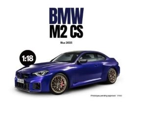 BMWM2CS.thumb.jpeg.dde95091903dcde968af803c78e7da1b.jpeg