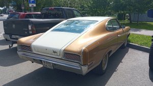 IMG_20250623_101232.thumb.jpg.c5056282776e88a8c146e83c66c10e59.jpg