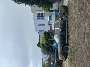 IMG_9811.jpeg