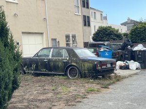 IMG_9813.jpeg